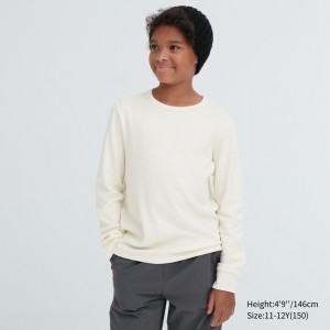 UNIQLO Heattech Extra Warm Cotton Waffle Crew Neck Long Sleeved Thermal Top Beyaz | 061-XYSTLE