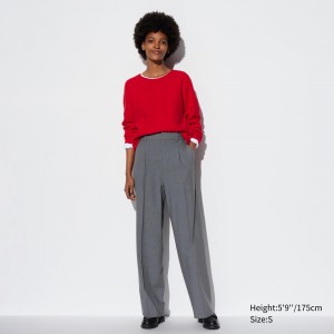 UNIQLO Pleated Wide Leg Trousers Long Gray | 098-MSAXEO