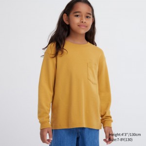 UNIQLO Soft Brushed Cotton Crew Neck Long Sleeved T-Shirt Sarı | 196-NWHRKX