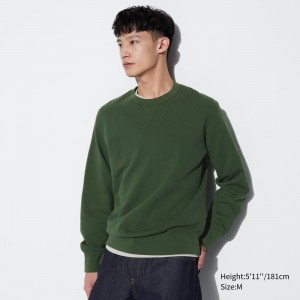UNIQLO Sweatshirt Yeşil | 978-ZUWLPQ